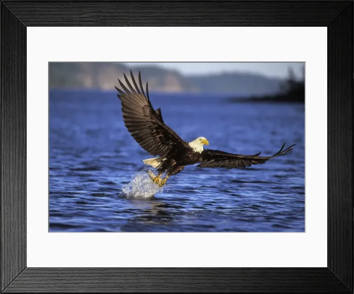 Framed Print : Picture No. 10763327 Framed Print : Picture No. 10763327