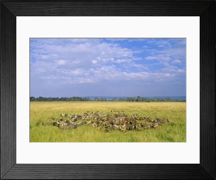 Framed Print : Picture No. 10763748 Framed Print : Picture No. 10763748