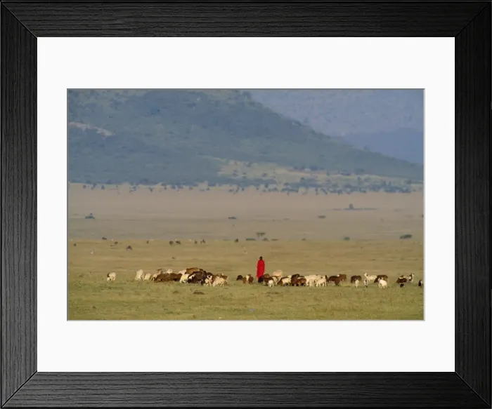 Framed Print : Picture No. 10763741 Framed Print : Picture No. 10763741