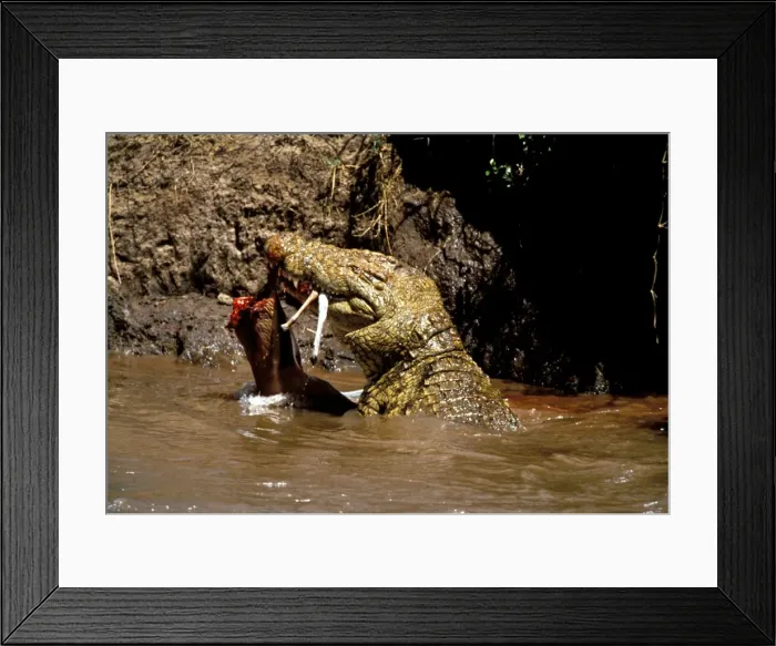 Framed Print : Picture No. 10763790 Framed Print : Picture No. 10763790