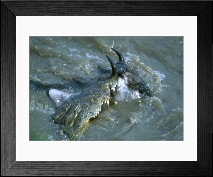 Framed Print : Picture No. 10763792 Framed Print : Picture No. 10763792