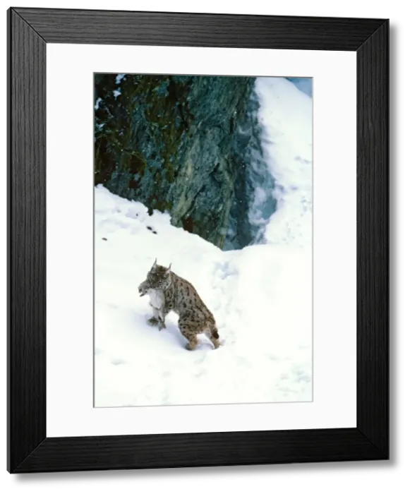 Framed Print : Picture No. 10763857