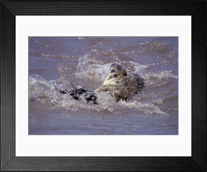 Framed Print : Picture No. 10763989 Framed Print : Picture No. 10763989