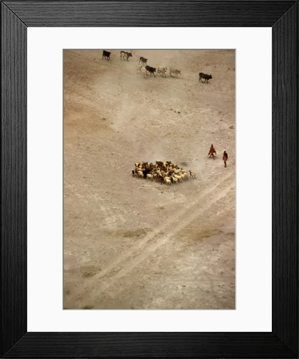 Framed Print : Picture No. 10764014 Framed Print : Picture No. 10764014
