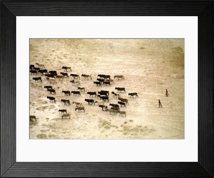 Framed Print : Picture No. 10764013 Framed Print : Picture No. 10764013