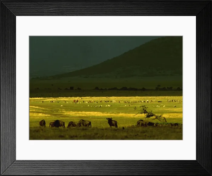 Framed Print : Picture No. 10764113 Framed Print : Picture No. 10764113