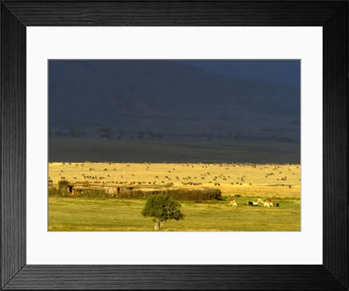 Framed Print : Picture No. 10764114 Framed Print : Picture No. 10764114