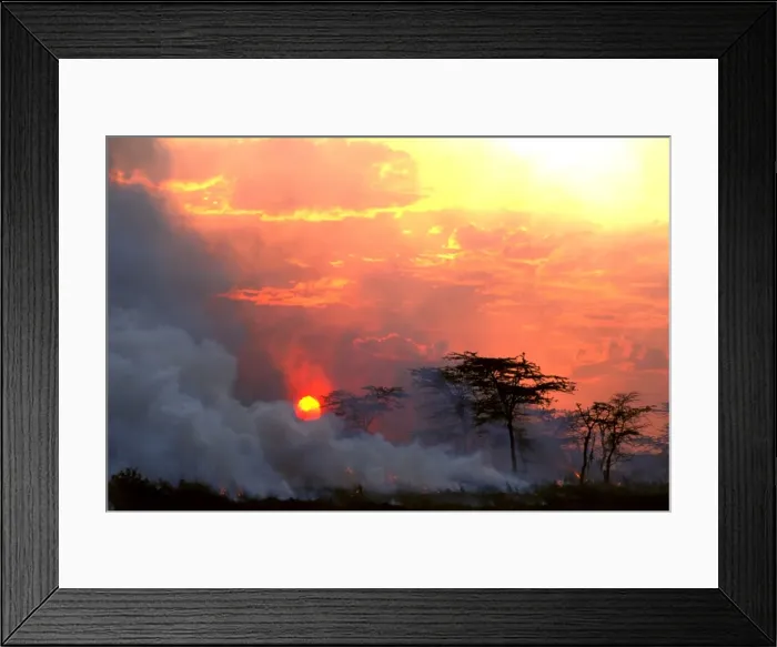 Framed Print : Picture No. 10764164 Framed Print : Picture No. 10764164