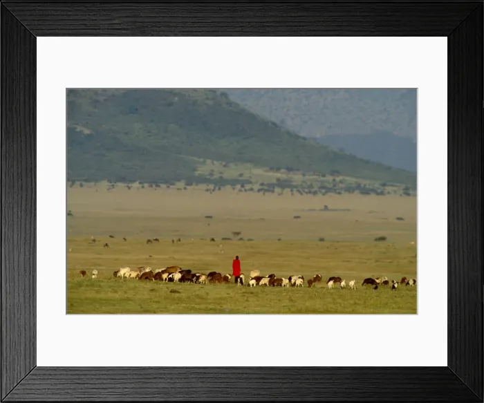 Framed Print : Picture No. 10764160 Framed Print : Picture No. 10764160