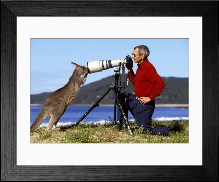 Framed Print : Picture No. 10764203 Framed Print : Picture No. 10764203