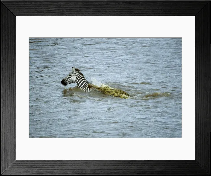 Framed Print : Picture No. 10764180 Framed Print : Picture No. 10764180