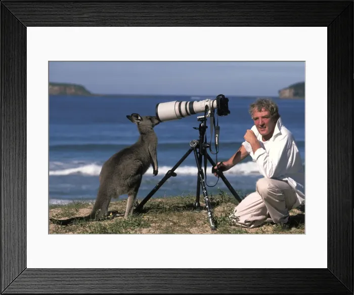 Framed Print : Picture No. 10764209 Framed Print : Picture No. 10764209