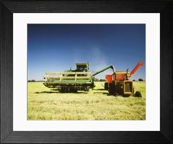 Framed Print : Picture No. 10764432 Framed Print : Picture No. 10764432