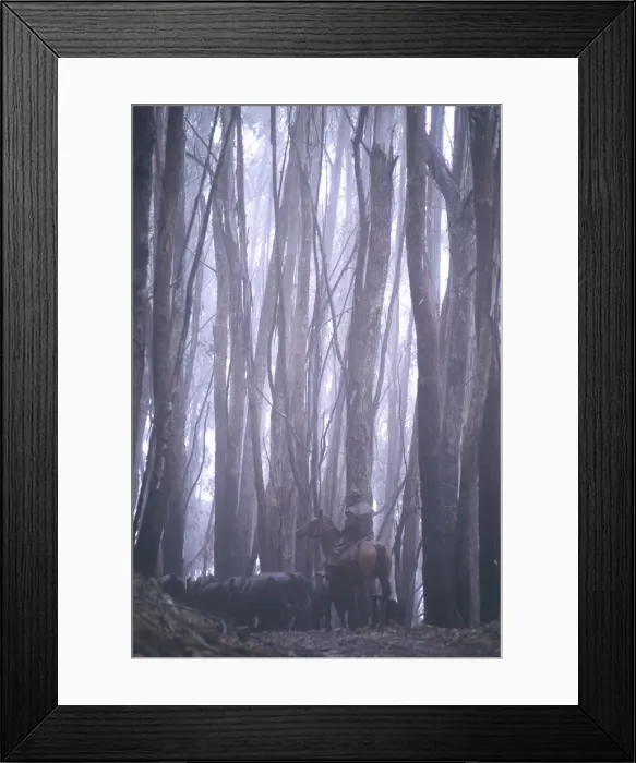 Framed Print : Picture No. 10764464 Framed Print : Picture No. 10764464