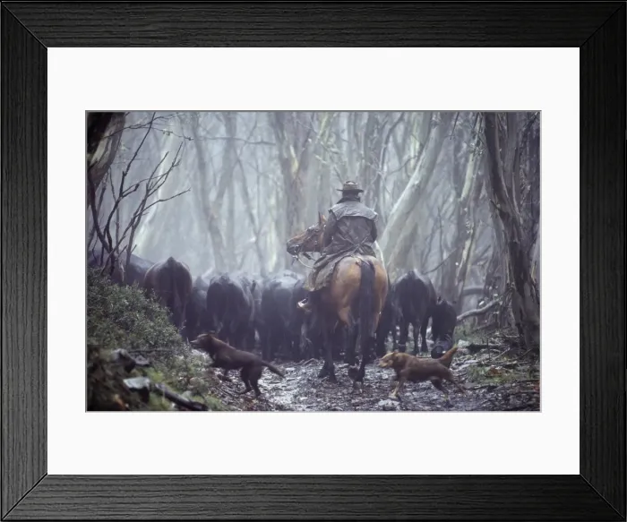 Framed Print : Picture No. 10764453 Framed Print : Picture No. 10764453