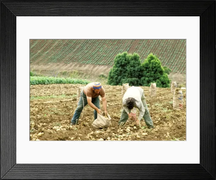 Framed Print : Picture No. 10764460 Framed Print : Picture No. 10764460