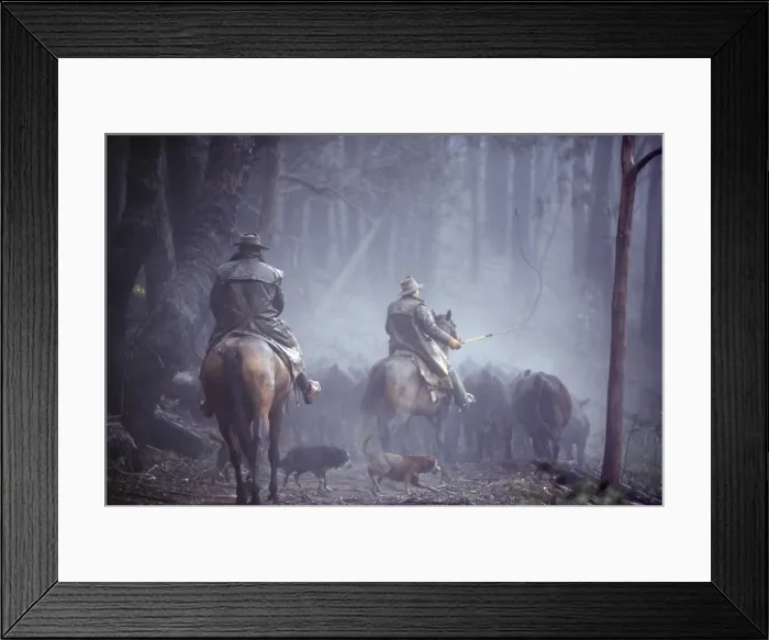 Framed Print : Picture No. 10764442 Framed Print : Picture No. 10764442