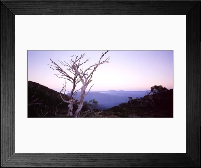 Framed Print : Picture No. 10764469 Framed Print : Picture No. 10764469