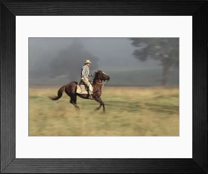 Framed Print : Picture No. 10764497 Framed Print : Picture No. 10764497