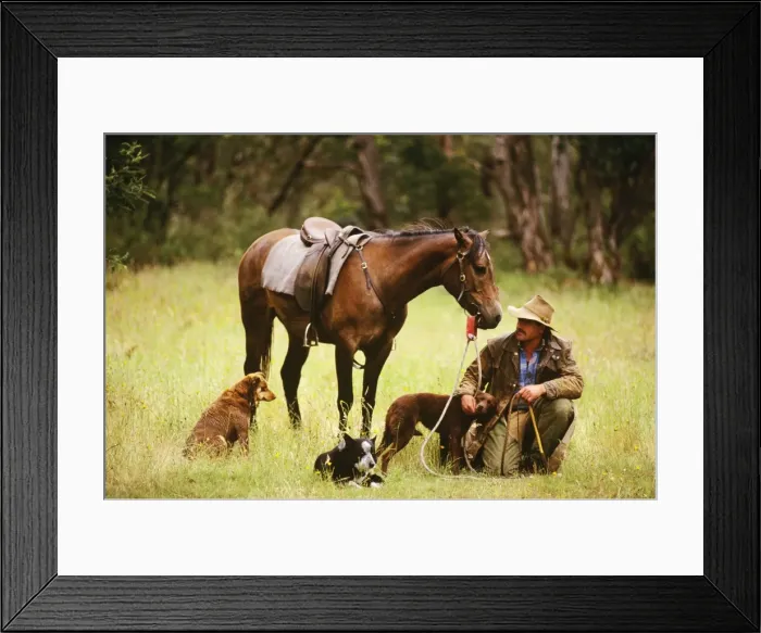 Framed Print : Picture No. 10764484 Framed Print : Picture No. 10764484