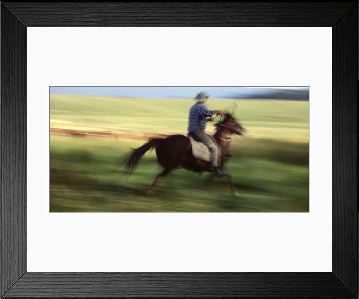 Framed Print : Picture No. 10764508 Framed Print : Picture No. 10764508