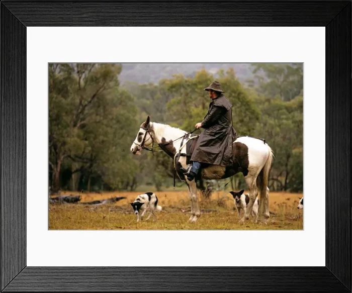 Framed Print : Picture No. 10764477 Framed Print : Picture No. 10764477