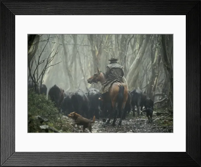 Framed Print : Picture No. 10764541 Framed Print : Picture No. 10764541