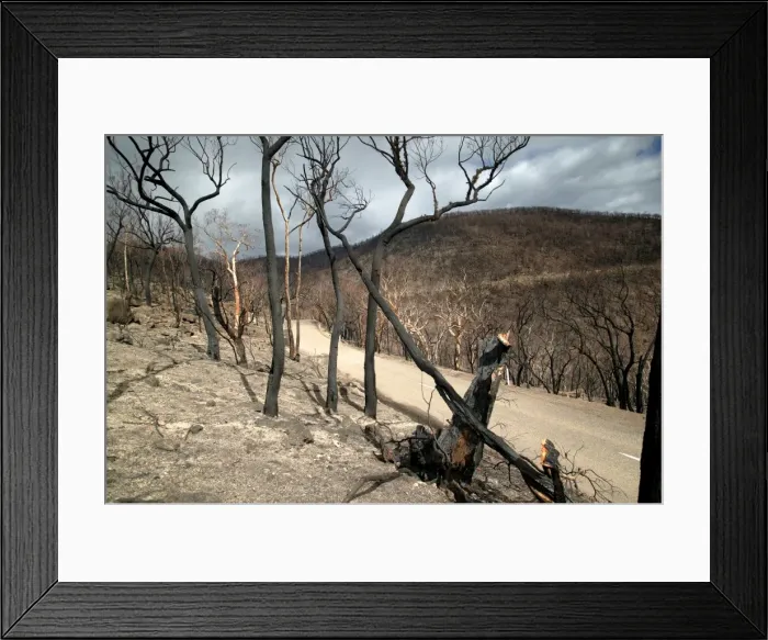 Framed Print : Picture No. 10764520 Framed Print : Picture No. 10764520