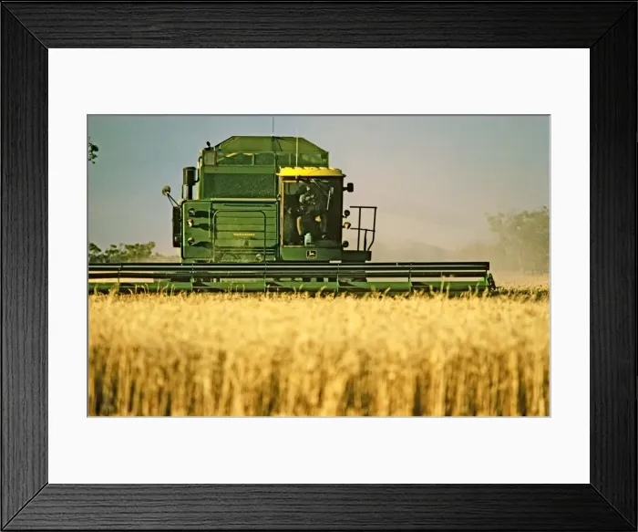 Framed Print : Picture No. 10764558 Framed Print : Picture No. 10764558