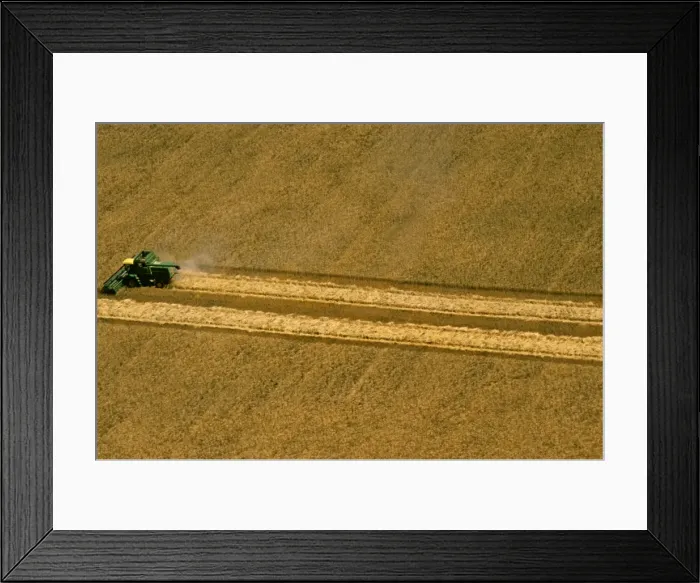 Framed Print : Picture No. 10764557 Framed Print : Picture No. 10764557