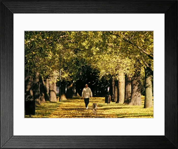 Framed Print : Picture No. 10764577 Framed Print : Picture No. 10764577