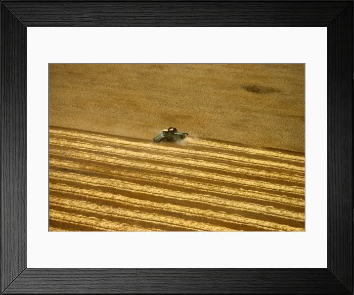 Framed Print : Picture No. 10764574 Framed Print : Picture No. 10764574