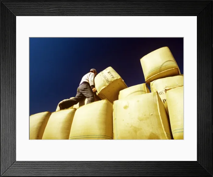 Framed Print : Picture No. 10764573 Framed Print : Picture No. 10764573