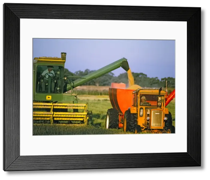Framed Print : Picture No. 10764589 Framed Print : Picture No. 10764589