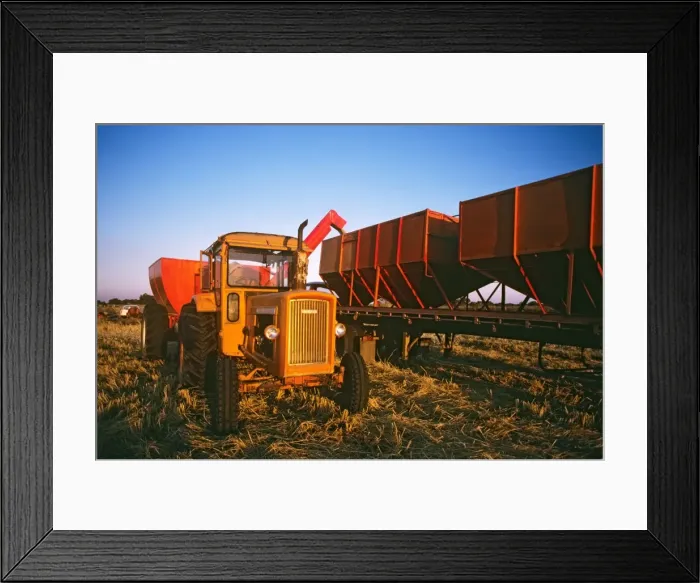Framed Print : Picture No. 10764588 Framed Print : Picture No. 10764588