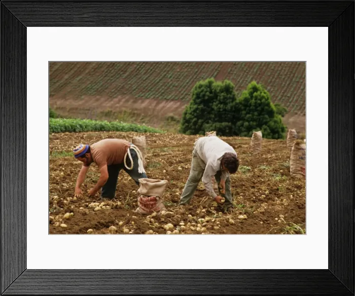 Framed Print : Picture No. 10764578 Framed Print : Picture No. 10764578