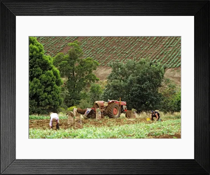 Framed Print : Picture No. 10764579 Framed Print : Picture No. 10764579