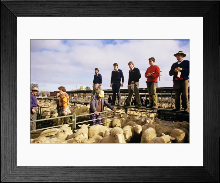 Framed Print : Picture No. 10764582 Framed Print : Picture No. 10764582
