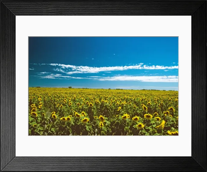 Framed Print : Picture No. 10764591 Framed Print : Picture No. 10764591