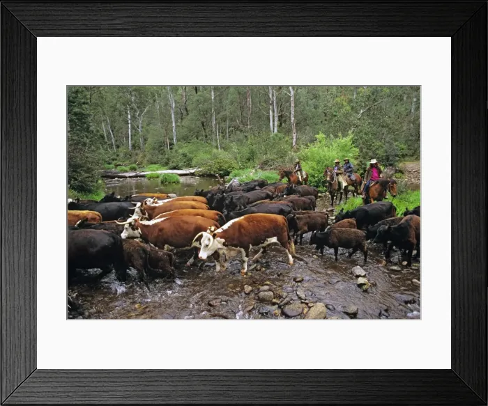 Framed Print : Picture No. 10764599 Framed Print : Picture No. 10764599
