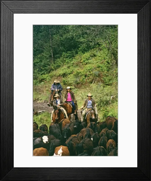 Framed Print : Picture No. 10764600 Framed Print : Picture No. 10764600