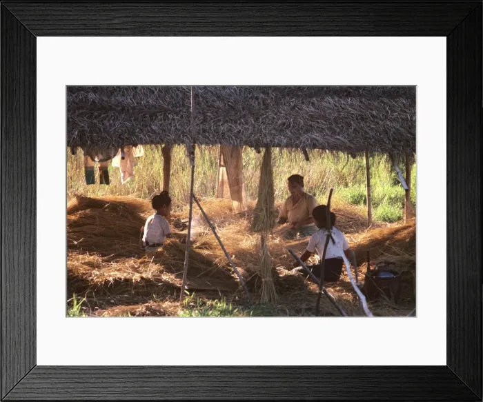 Framed Print : Picture No. 10764596 Framed Print : Picture No. 10764596