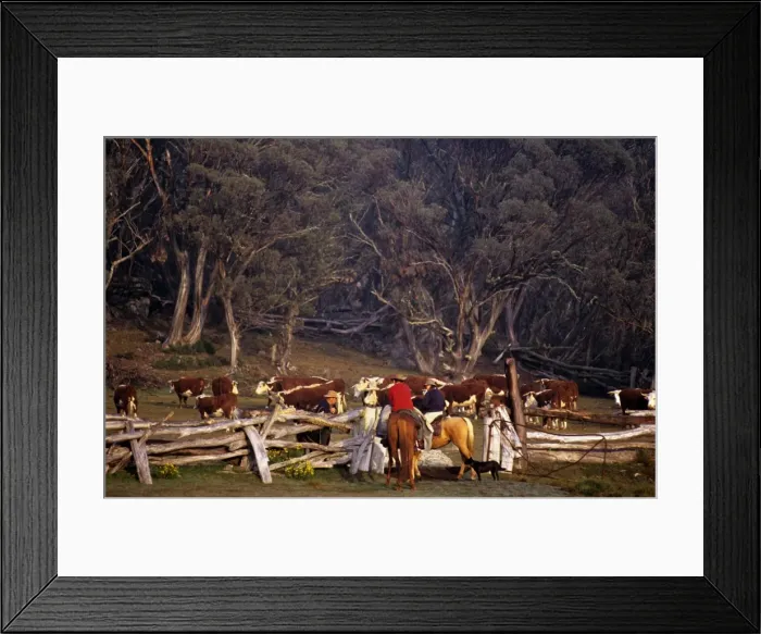 Framed Print : Picture No. 10764598 Framed Print : Picture No. 10764598