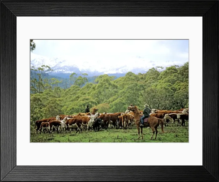 Framed Print : Picture No. 10764605 Framed Print : Picture No. 10764605