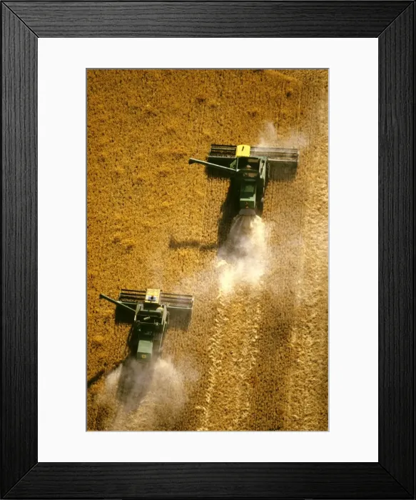 Framed Print : Picture No. 10764663 Framed Print : Picture No. 10764663