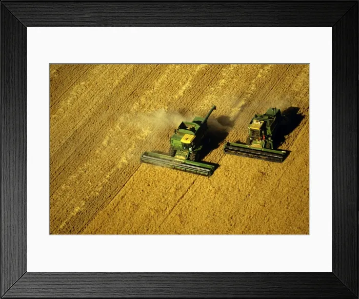 Framed Print : Picture No. 10764666 Framed Print : Picture No. 10764666