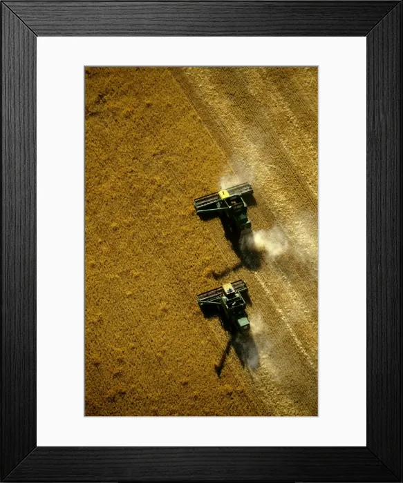 Framed Print : Picture No. 10764665 Framed Print : Picture No. 10764665