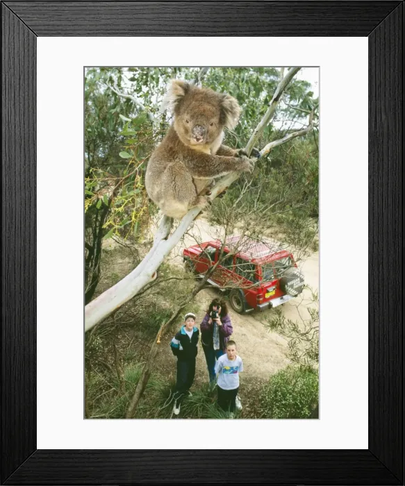 Framed Print : Picture No. 10764917