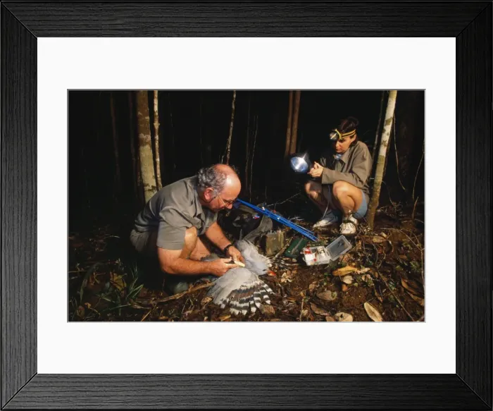 Framed Print : Picture No. 10765041 Framed Print : Picture No. 10765041