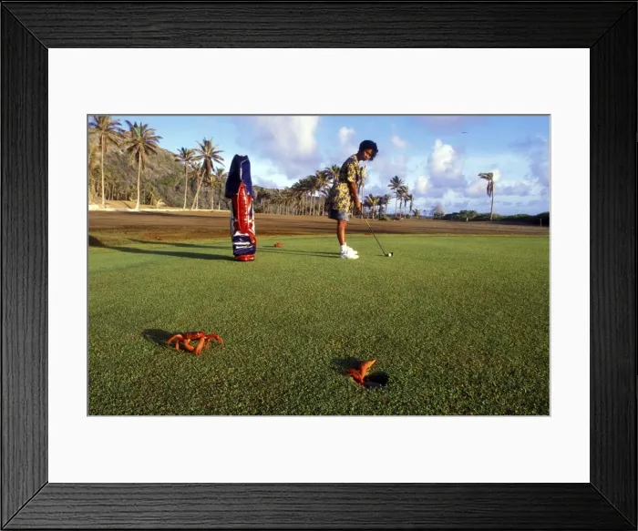 Framed Print : Picture No. 10765250